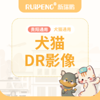 【贵阳】DR-X光-犬猫拍片 DR拍摄